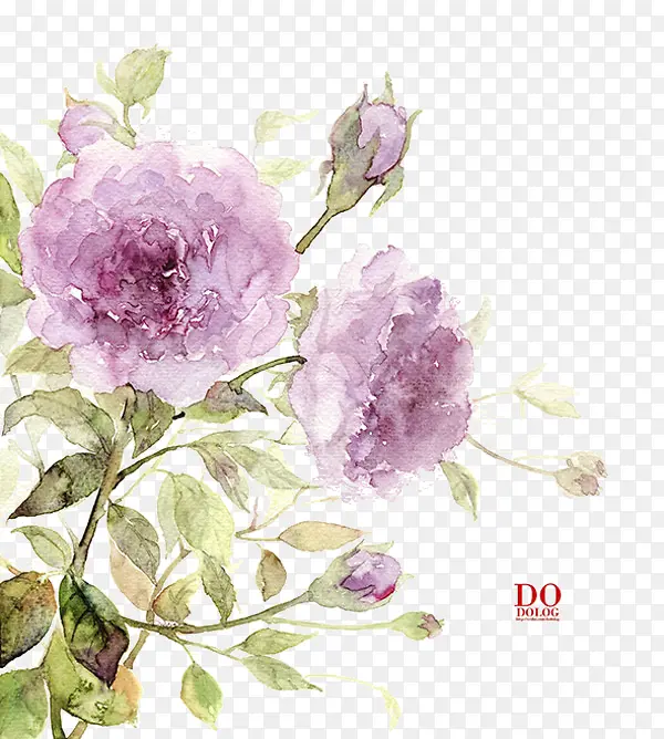 ֲ��-������