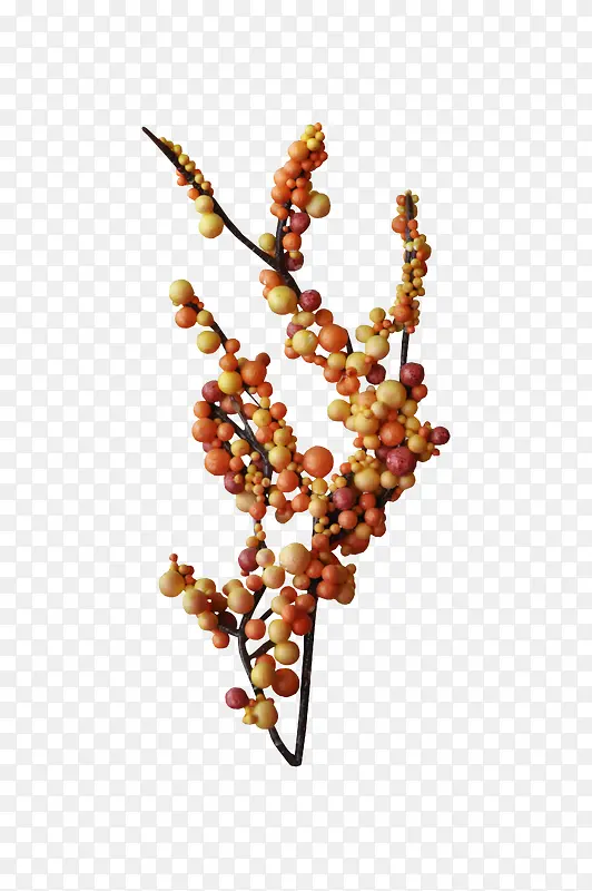 �ư� ��ɫ ���� ��֦-������