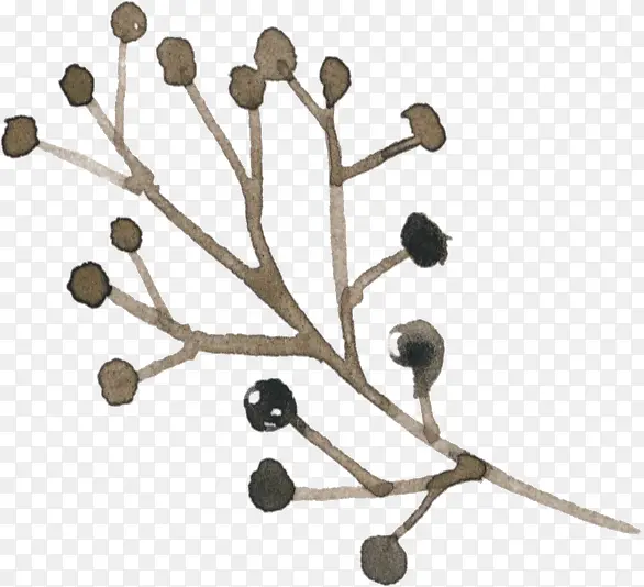 ��ʵ-������