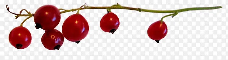 ��ɫ����-������