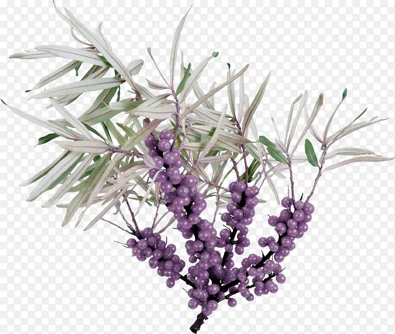 ��ɫ����-������