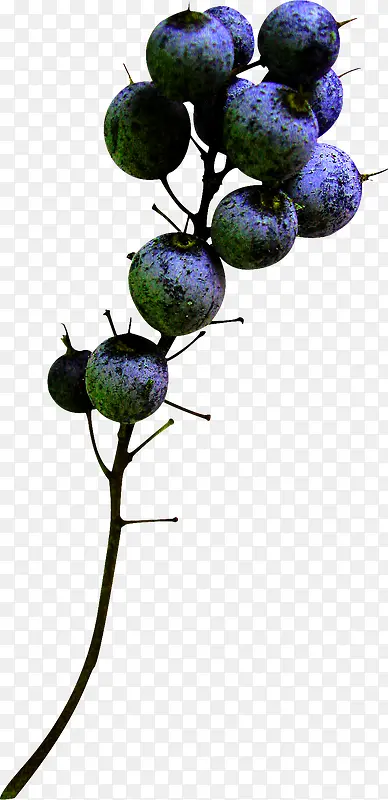 ��ɫ����-������