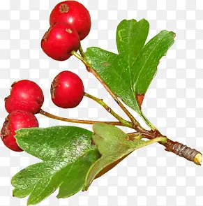 ���-������