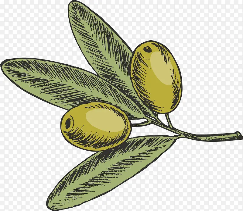 �ֻ澫�������֦-������