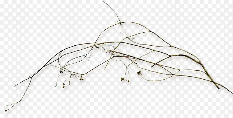 �ɿݵĹ���-������