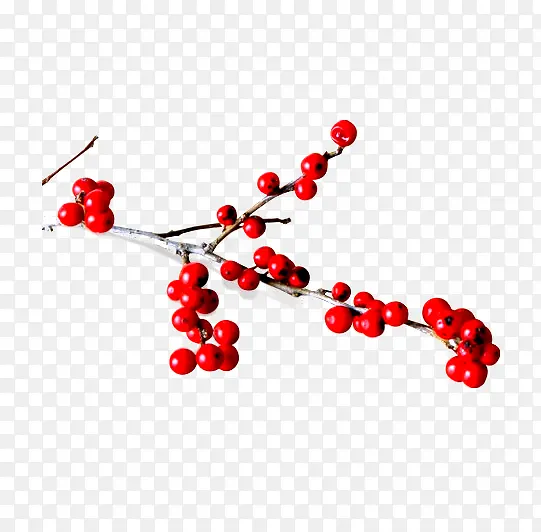 һ֦���-������