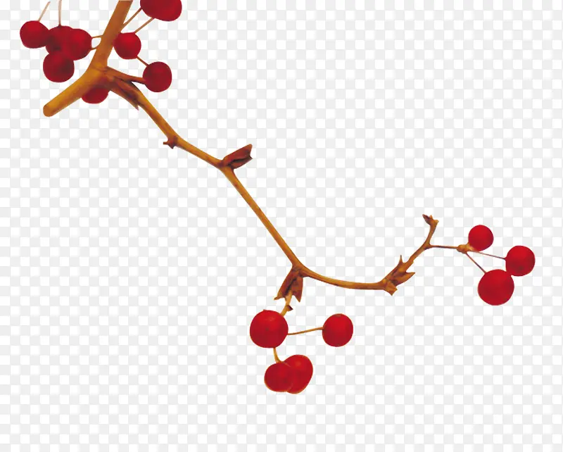 ��ɫ������-������