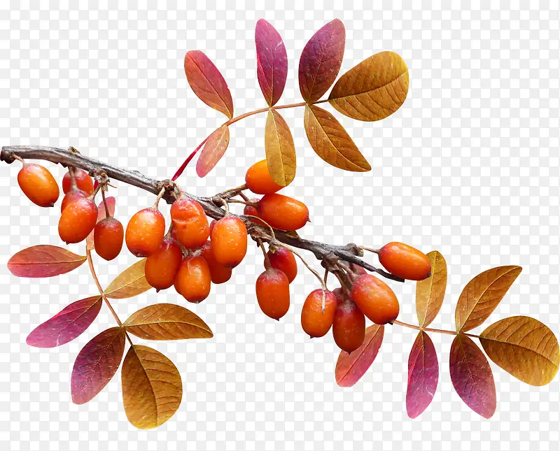 �＾�Ĺ���-������