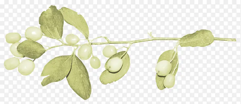 �׹�����-������