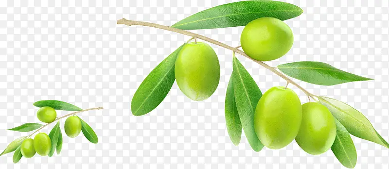 �������-������