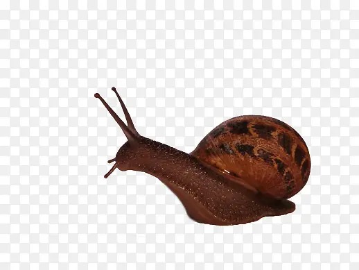 �ֻ�ˮ����ţ-������