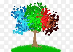 ��ͨ�ֻ�ʸ�������ľ-������