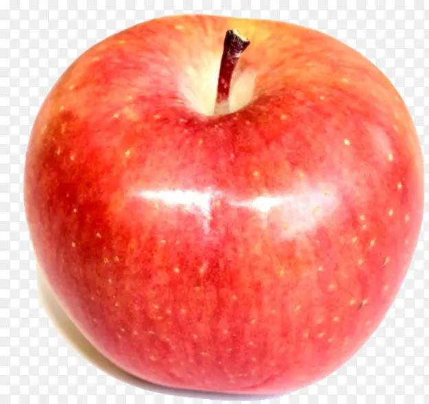 ������ƻ������ز�-������