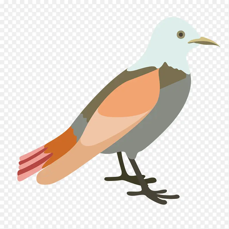 ��ͨ����PNG����-������