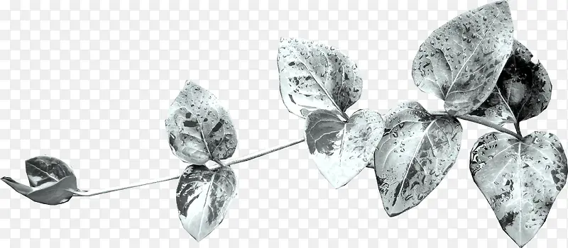 ��Ҷ-������