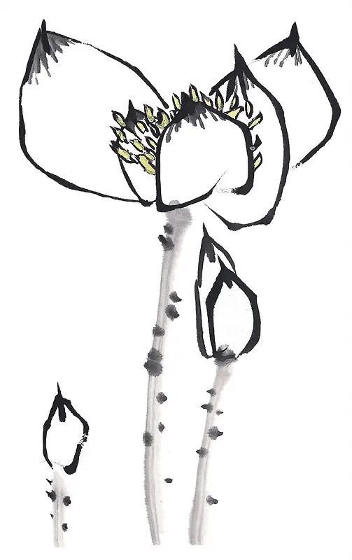 �����й���֦�����ڰ�-������