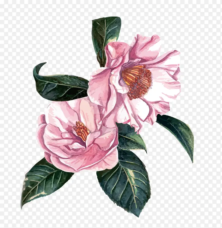 ʸ��ɽ�軨-������