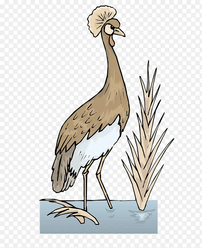 ʸ���������ز�-������