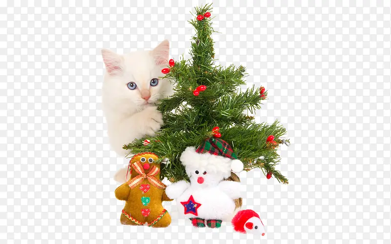 ʥ����Ԫ��-������