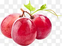 ��ɫ���ʰ����ˮ��-������