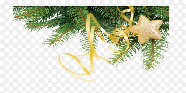 ����ϲ��������չ����֦-������