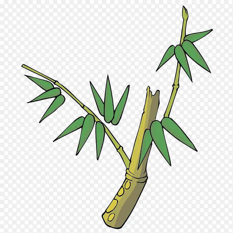 ��Ҷ�ز����� ����-������