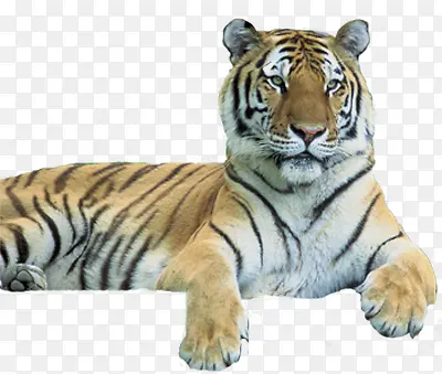 �ϻ�-������