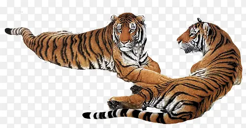 �ϻ�-������