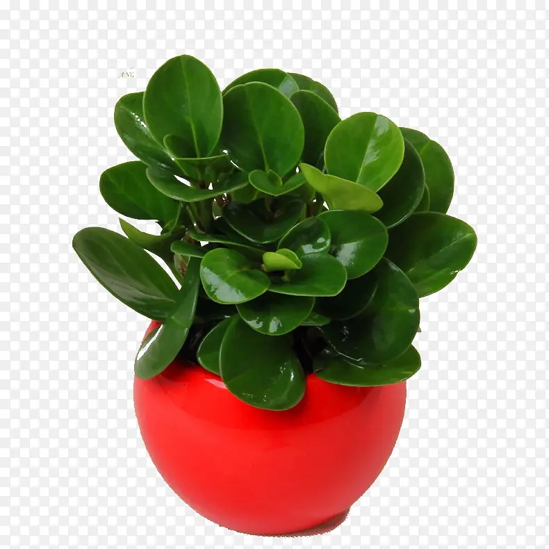 ��ɫ�����������ز�-������