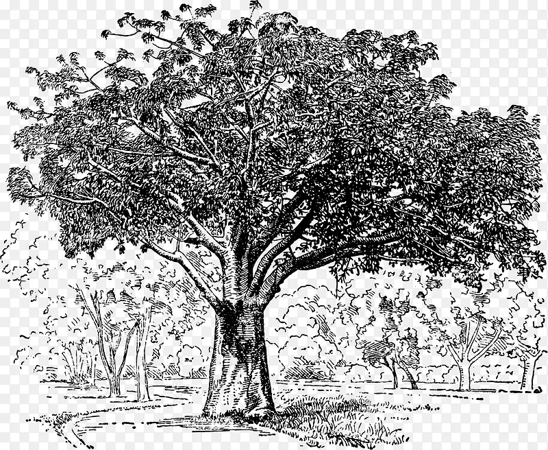 ï�ܵ�����-������