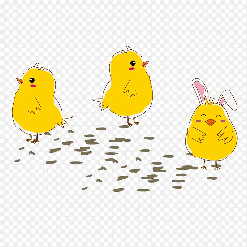 ���ĵ�С����ƺ���-������