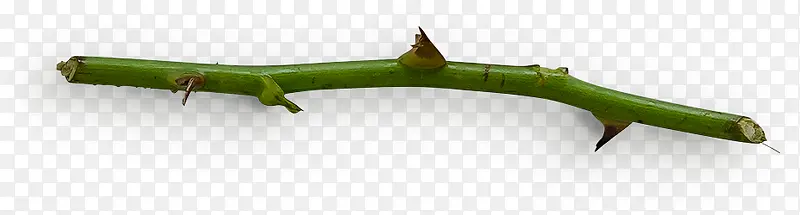 ���̵���֦-������