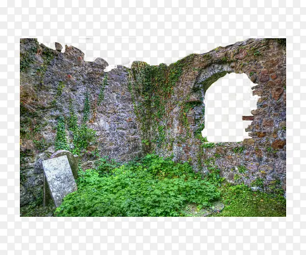 ��ɫͥԺ�������-������