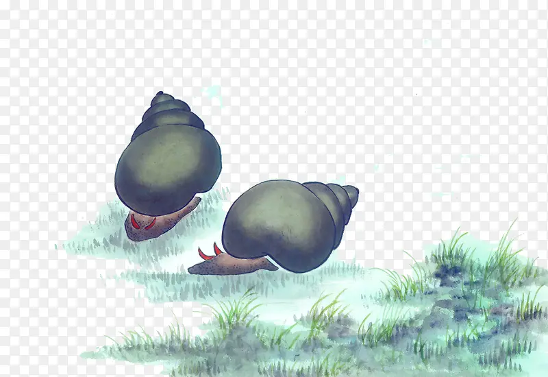 ����������ʳ��-������