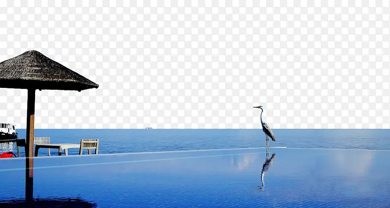 ��������µ���Ӱ-������