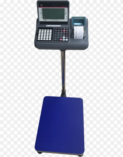 ʵ������ɫ���õ��ӳ��س�-������