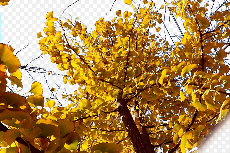 ������-������