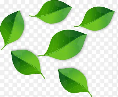 ��ɫ��Ҷʸ���ز�-������