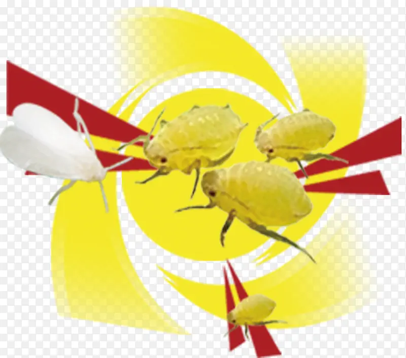 ũҩ����Ԫ��-������