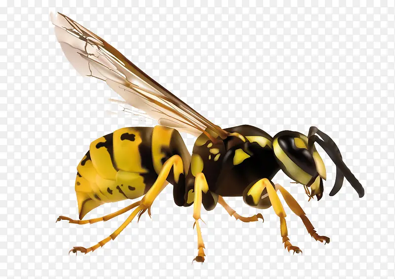 ��ͨ�Ʒ�����-������