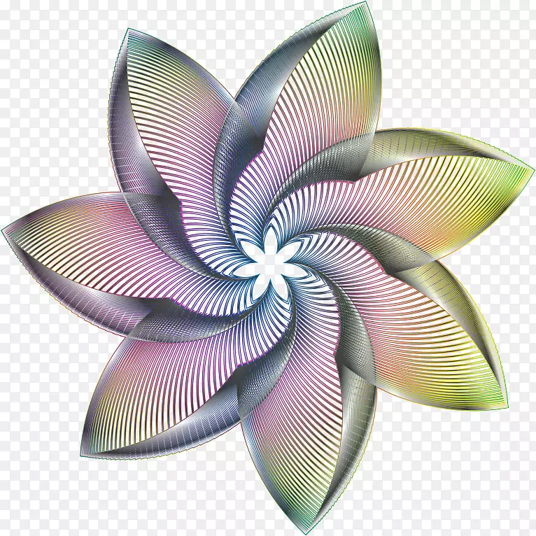 �����ֽ����������������-������