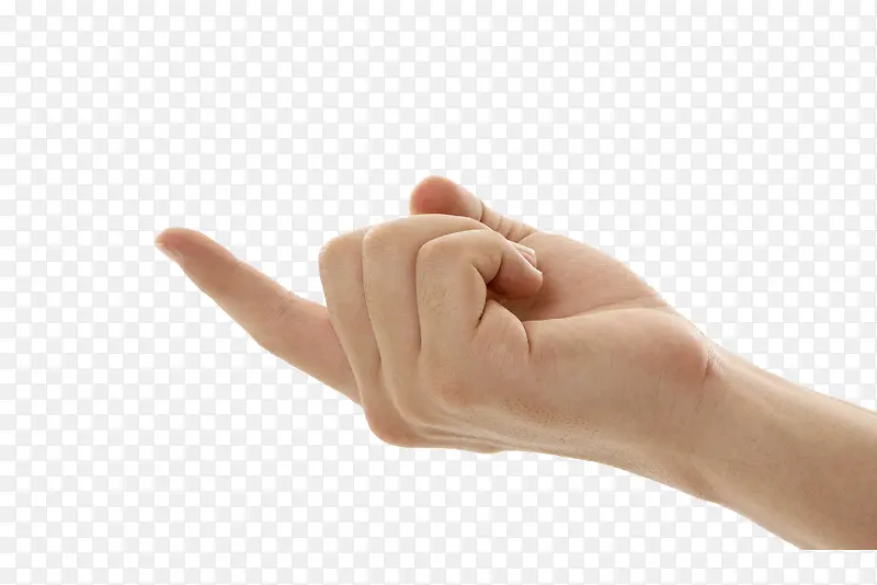 ���ĳ���������ָ����-������