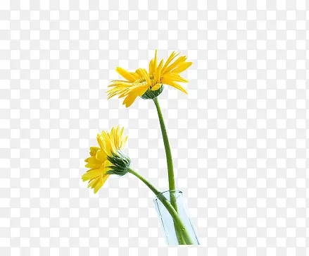 ������ƿ ���� ��ɫ�Ļ� ʢ����-������