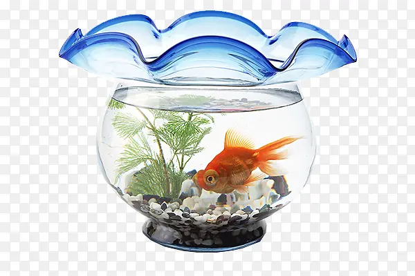 ʵ�ﲣ�����-������