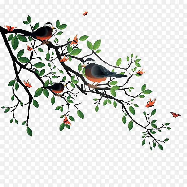 �й�����Ƶ���֦-������