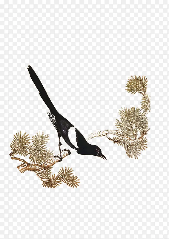 �й���ϲȵ-������