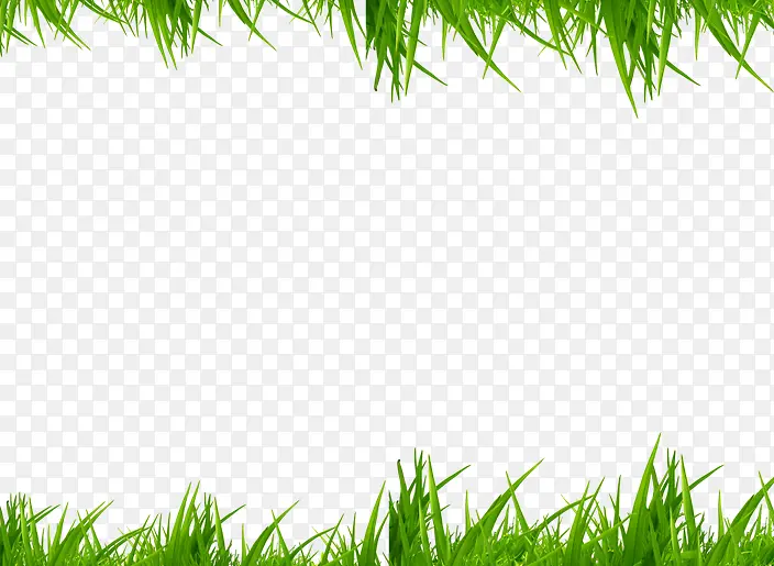 С��-������