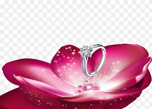 ���⻨о�еĽ�ָ-������