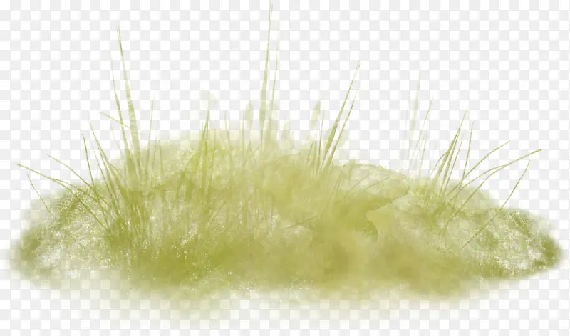 ��ή��С��-������