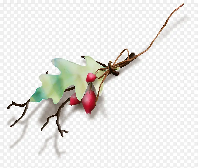 ��֦-������